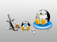 /album/windows-wallpapers/a1-5-500482-jpeg/